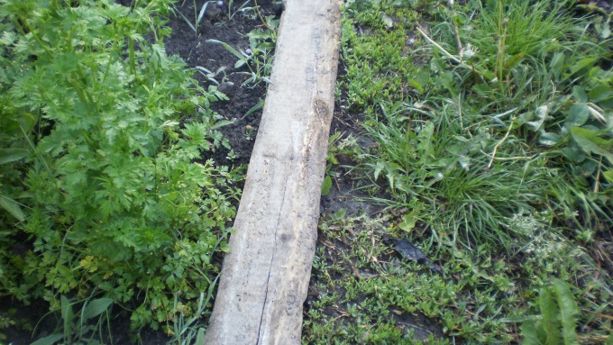 Ловушка для слизней